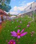 Nalati Taoguo Homestay