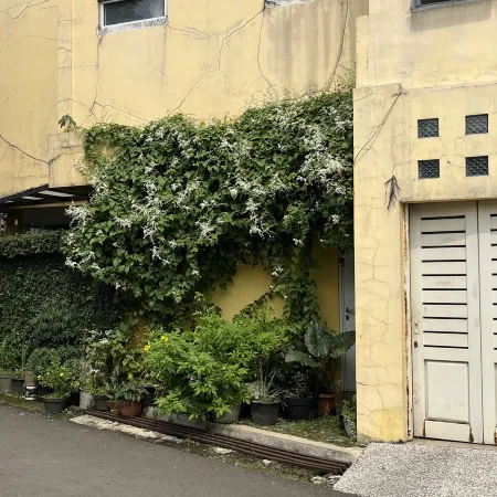Rumah Kuning Syariah