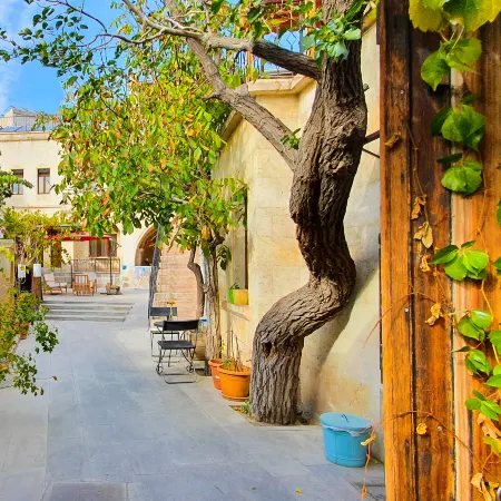 Karadut Cave Hotel