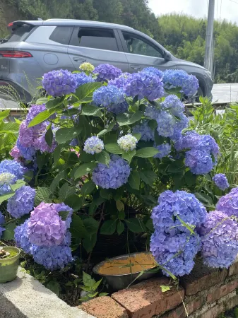 Yangtianhu Xiang Weisha Homestay Отели рядом с достопримечательностью «Yangtianhu Grassland»