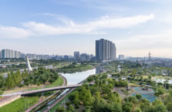 STAYFY PAJU K HILLS