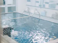 SEKAI HOTEL Deep Osaka Experience Hotels in Higashiōsaka