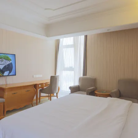 Vienna Hotel (Pizhou Qingnian East Road)