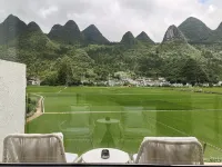 Wanfenglin White Bird Homestay 싱이 호텔