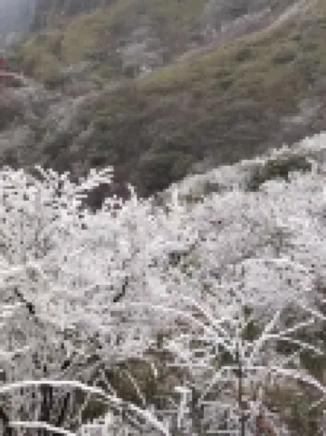 梵淨山聚賢山荘