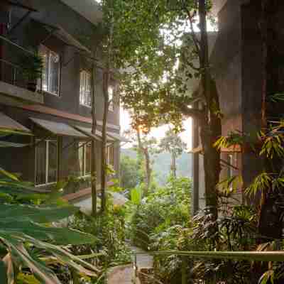 Ambong Rainforest Retreat Hotel Exterior