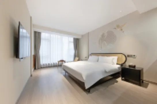 德清沁知竹民宿