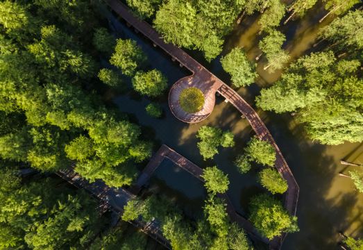 칭산 호수 톈란 호텔 항저우