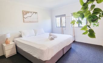 a white bedroom with a large bed , a potted plant on the floor , and a door leading to a balcony at YHA Byron Bay