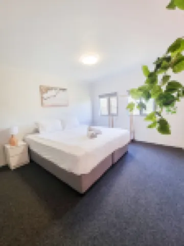 拜倫灣YHA 拜倫灣住宿飯店