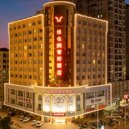 Vienna Classic Hotel ( ZhanJiang coastal park sea view gallery hotel )