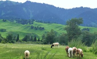 Turks Slow Homestay