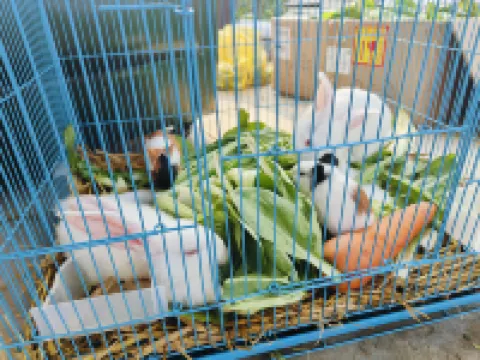 鍾祥曾經來過民宿（莫愁村店）