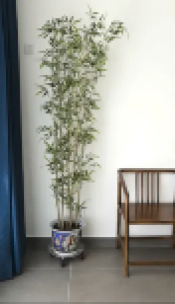 Grandma's homestay Hotels near Shuangluan District