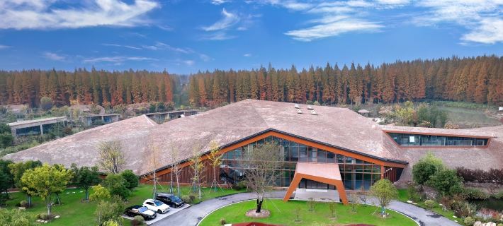 Jinhu Water Forest Scenic Area, Jinhu Water Forest · Gangfu  Hot Spring Resort Hotel Hotel a Jinhu