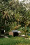 Bobocabin Ubud, Bali - Mountain view