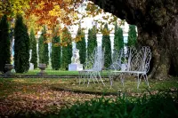 Ensana Thermia Palace Hôtels à : 