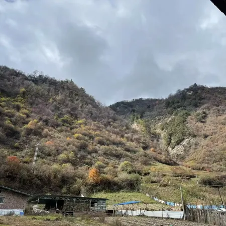 Pingwu Di Yi Rong homestay