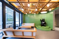 Chengdu Dayi Xiling Snow Mountain Outlets Star Joy Resort Hotel - bar
