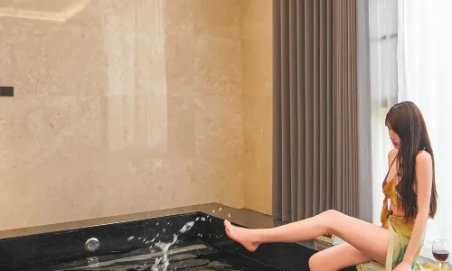 Yangzhou Fengyin wutong Holiday Hotel