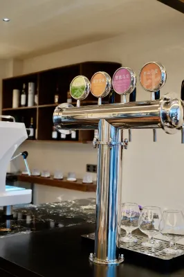 萬川續·ValleVive日照金山全景度假飯店（白沙古鎮店） 休閒娛樂 Photos