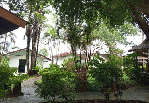 파예 오키드 리조트 정원