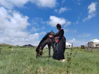 Chagan Aobao Holiday Camp on Volcanic Grassland Hotels in Qahar Right Rear Banner