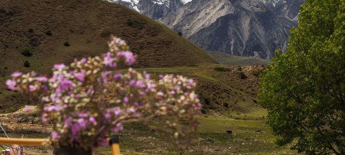 Ge Nie · Cang Yang Hotel Hotels in Litang