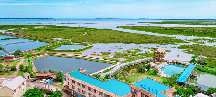 Sea View Theme Hotel Dongxing otelleri