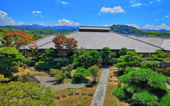 Kansai Airport Pine Villa Hotels in Izumisano