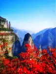 Wushan Tonghui Hotel（Visitor Center Store）