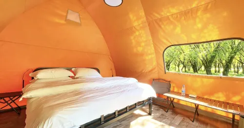 Mountain Whys Campsite - New