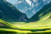 Sayram Lake Mountain Wild Lakeview Homestay - 애견동반