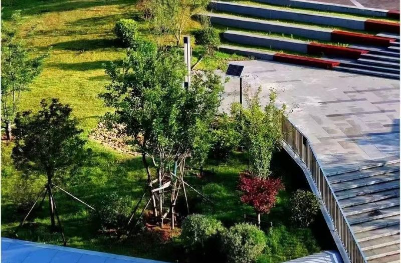 7 Days Hotel (Penglaige Street Dengzhou Road Market Branch, Penglai) photo 4