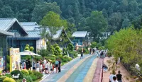 Wuyuan Lulin Qijian · Taocheng Guiyin · Brookvale Healing and Relaxing Vacation Homestay - Barer