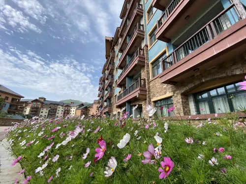 Ski and Suites at Thaiwoo Resort - Hot Springs