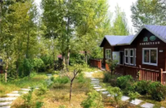 Qingguo Tree House Camping Hotel