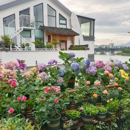Inflorescence & Floriculture Theme Guesthouse(Yi County Old Town)