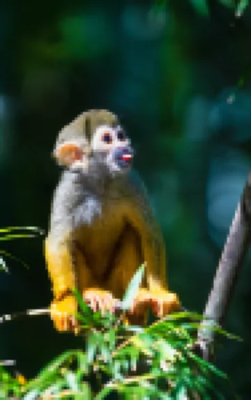 Giraffe Manor Hotel Hotels in Huzhou