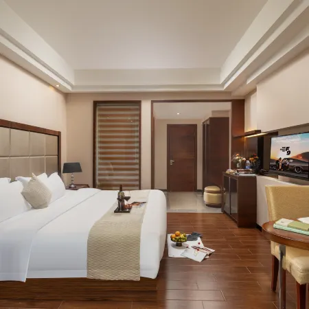Puning · New East City Landscape Hotel