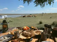 And sheep Hotels in Xinghe