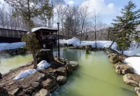 Niseko Grand Hotel - Hot Springs