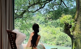 Xiangyu · Old Camphor Tree Homestay