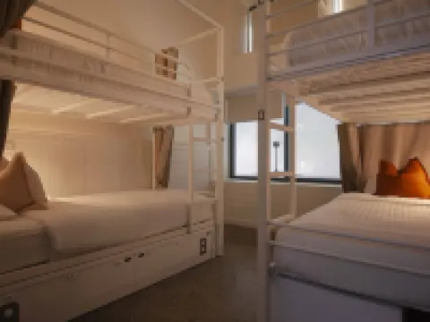 Little Drifter Cairns Hotels in Cairns