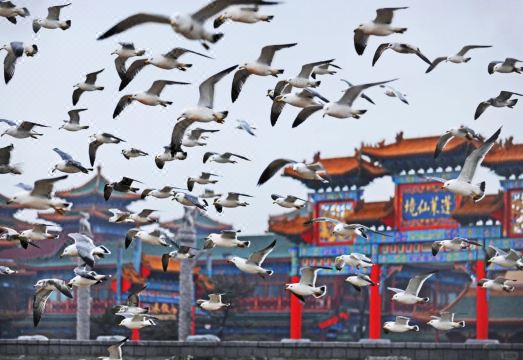 도시 화원 호텔 전경