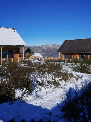 Baihaba Wild & Free Guesthouse Hotels near Xinjiang Kanas National Geopark