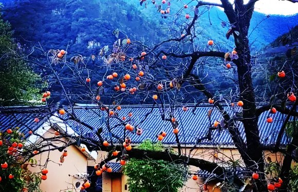 湯河沐心溫泉康養民宿