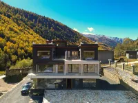 Siguniang Mountain Green Meconopsis Jinshan Manor