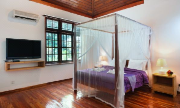 Sweet Cinnamon Kandy - Housity