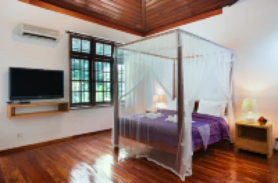 스위트 시나몬 칸디